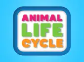 Animal Life Cycle