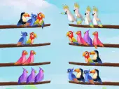 Bird Sort Puzzle