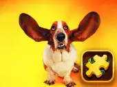 Funny Dogs Puzzle