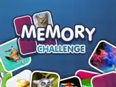 Memory Challenge