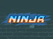 Ninja 