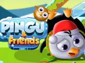 Pingu & Friends