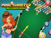 Pool Shooter Billiard Ball