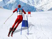 Slalom Ski Simulator