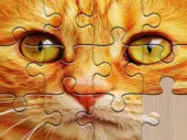 Unlimited Jigsaw Puzzles